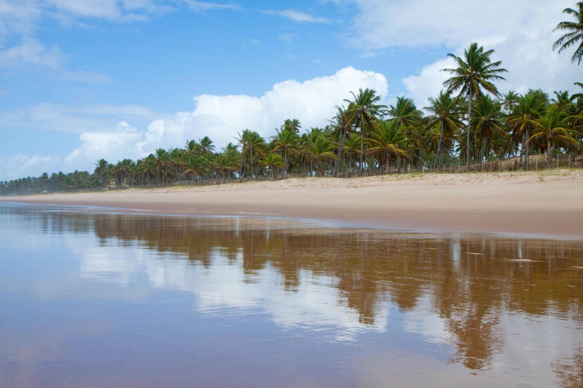 Grand Palladium Imbassaí Resort&Spa - Все включено Экстерьер фото Beach in Cabo de la Vela